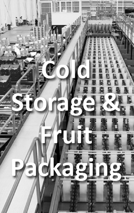 Cold Storage & Fruit packaging